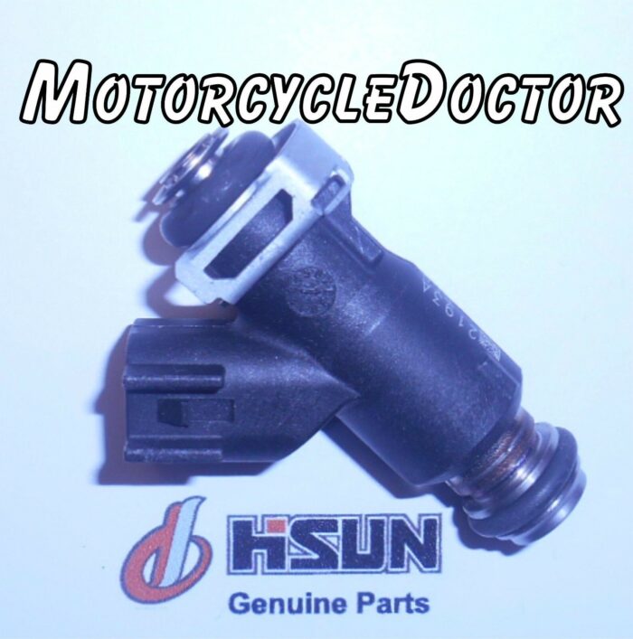 FUEL INJECTOR 250