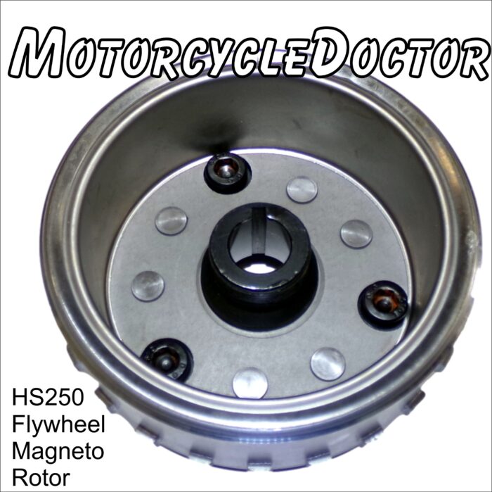 Flywheel Magneto Rotor 250 w/Bearing - Image 3