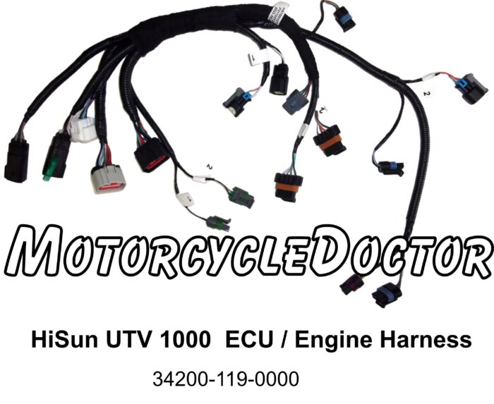 ECU/Engine Harness Hisun 1000